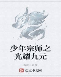 少年宗师之光耀九元